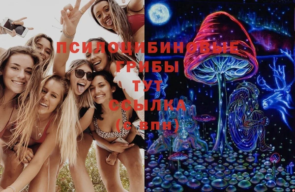 крисы Абдулино