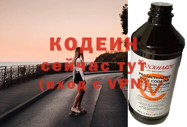 индика Абаза