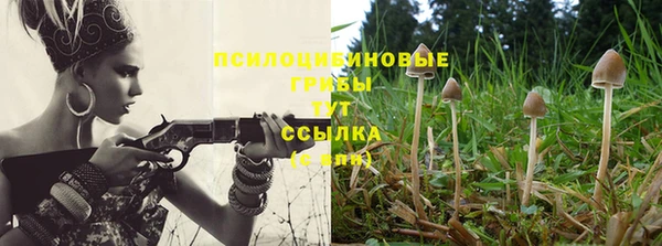 дживик Алзамай
